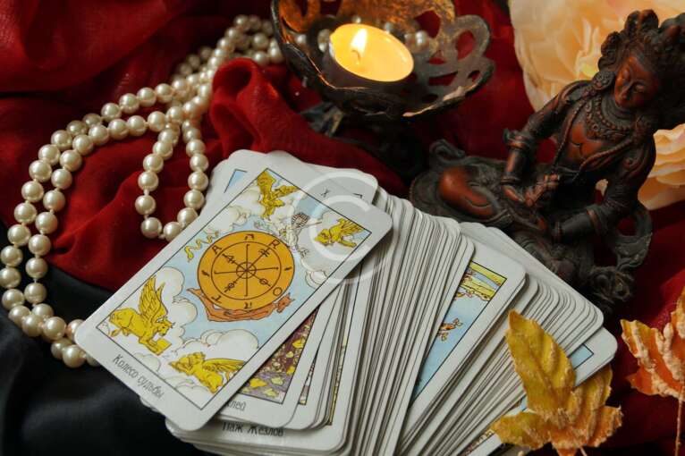 Medical Astrology: Concepts and Case Studies